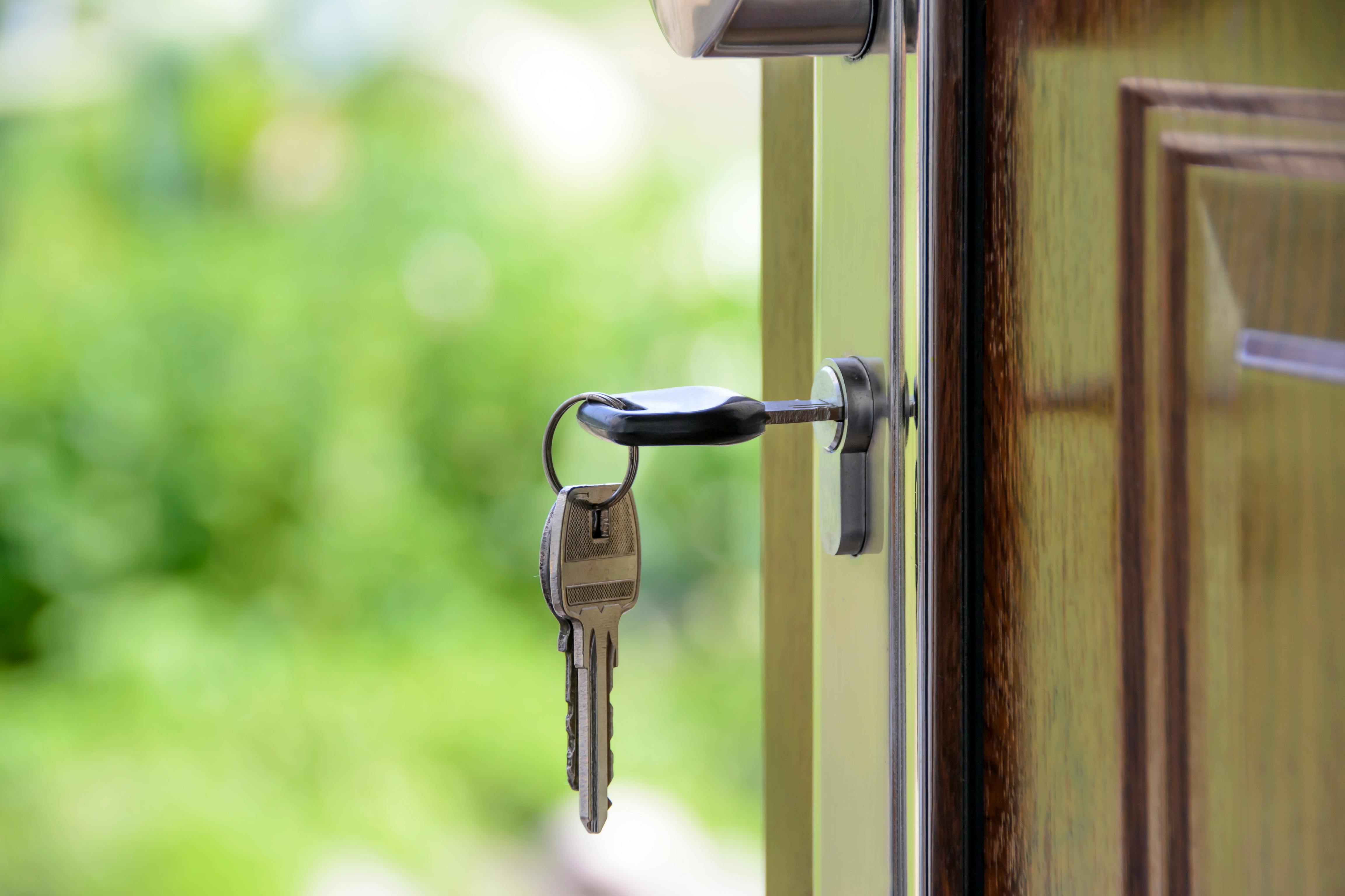 ¿Por qué hay cucarachas en mi casa?: causas y soluciones efectivas